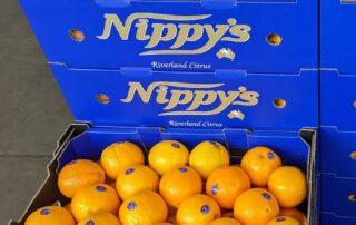 juice-company-nippy’s-convicted-over-workplace-scalping-of-18-year-old-woman