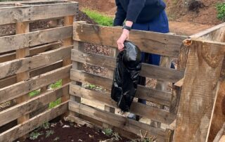 fast-food-chain-coffee-grounds-saved-from-landfill-by-enterprising-ag-students