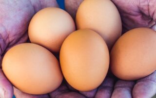 battery-eggs-on-the-way-out-—-eventually-—-as-ministers-agree-they-have-to-go