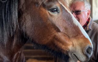 the-old-ways-hold-true-for-carriage-driver-rob-as-he-revives-a-family-tradition