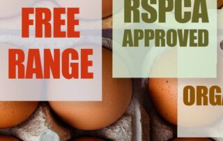 ‘cage-eggs’-are-on-the-way-out-in-australia,-but-what-does-that-really-mean-for-hens-and-consumers?