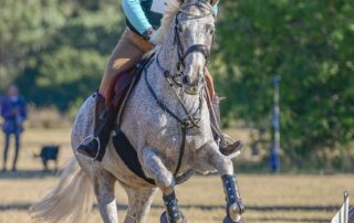 horse-racing-and-polo-identity-felicity-fraser-‘vulnerable’-when-conspiring-to-import-cocaine,-court-hears