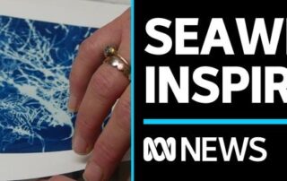 seaweed-abundance-provides-inspiration-for-holdfast-art-project