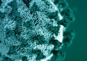 the-latest-covid-19-news-and-case-numbers-from-around-the-states-and-territories