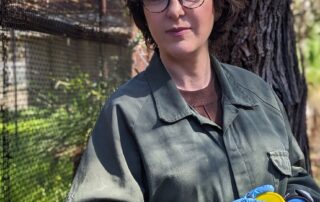 body-farm-study-on-piglets-could-help-police-solve-crimes,-avoid-wrongful-convictions