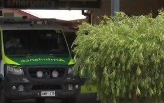 unregistered-doctor-‘lied’-to-gain-access-to-regional-hospital’s-ed,-investigations-reveal