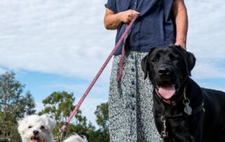 ‘any-dog-can-bite’-is-the-message-behind-a-new-campaign-to-reduce-dog-attacks