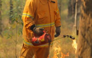 why-australia’s-weather-bureau-hasn’t-followed-the-world-in-declaring-el-nino