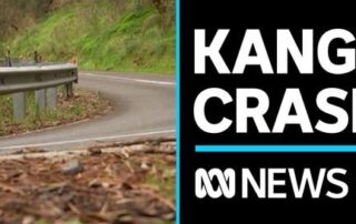 south-australian-triathlete-severely-injured-in-collision-with-kangaroo