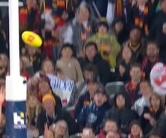 ‘it-would-have-been-overturned’:-afl-boss-says-umpire-got-it-wrong-in-crucial-‘behind’-call-in-crows-game