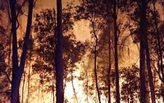 what-you-can-expect-for-weather-and-fires-this-spring