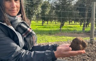 at-$1,500-a-kilo,-truffles-have-been-found-on-this-orchard-for-the-first-time,-thrilling-the-hobby-farm’s-new-owners