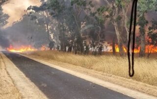 a-car-caught-alight-on-a-quiet-afternoon.-it-quickly-became-this-devastating-bushfire