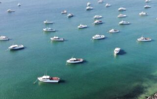 sa-government-says-no-to-offshore-wind-farm-zone-in-face-of-fishing,-environmental-worries