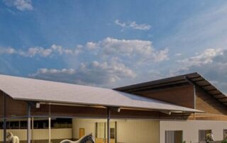 relocation-of-south-australian-police-horses-set-to-cost-$90-million