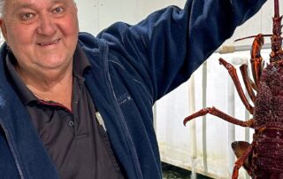 lobster-season-underway-in-sa,-but-chinese-trade-woes-still-unresolved