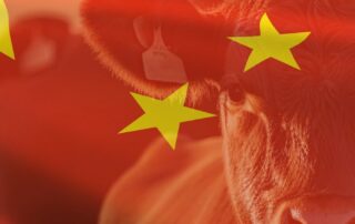 china’s-economy-might-be-slowing,-but-its-appetite-for-beef-is-not