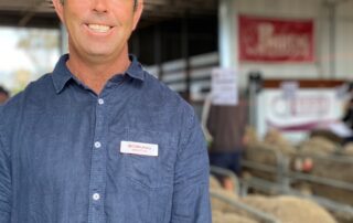 ram-sale-helps-farmer-inspire-next-generation-of-workers-in-industry-desperate-for-more-labour