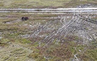 bogged-driver,-towing-company,-fined-for-scarring-queensland-wetlands