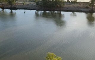 what-is-the-murray-darling-basin-plan-and-why-does-the-federal-government-want-to-change-it?