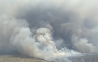 volunteer-firies-have-personal-vehicles-stolen,-vandalised-while-battling-massive-blaze