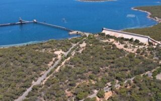 scientists-and-fishing-industry-clash-over-port-lincoln-desalination-plant-research
