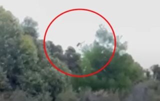 ‘we’re-gonna get-shot’:-hunters-film-themselves-running-from-aerial-culling-helicopter-on-sa-property