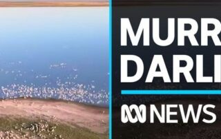 study-finds-murray-darling-minimum-flow-requirements-not-being-met