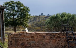 a-murder-investigation-led-police-to-this-farmhouse,-where-they-made-a-gruesome-discovery