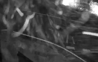 man-caught-on-cctv-causing-explosion-in-suburban-brisbane-street