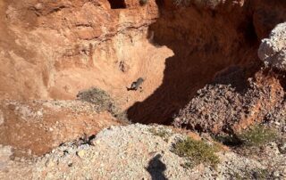 ‘lucky’-kangaroo-rescued-from-outback-mine-shaft-before-extreme-heat-hits