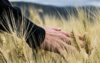 tracking-america’s-lead,-rural-australia-should-control-how-government-funding-is-allocated