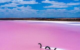 after-the-‘biggest-drought’-in-living-memory,-town-looks-to-its-famous-pink-lake-for-deep-reserves-of-resilience