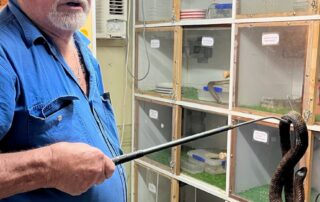 snakebites-kill-dogs-in-sa’s-south-east-as-deadly-reptiles-emerge-‘hungry’-with-warm-spring-weather