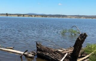 man-responsible-for-deaths-of-two-teens-in-lake-keepit-boat-crash-escapes-jail-time