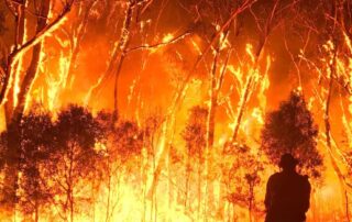 what-makes-a-bushfire-alert-‘catastrophic’,-and-how-should-you-respond?