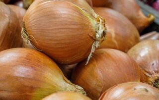 how-do-we-stay-healthy-during-the-high-cost-of-living?-embrace-the-onion,-nutritionist-says