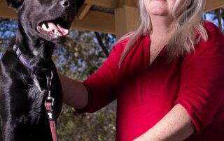 violet-the-kelpie-nearly-died-from-a-violent-high-after-eating-marijuana-at-a-dog-park