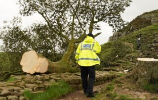 pub-offers-bar-tab-reward-for-information-over-robin-hood-tree-loss