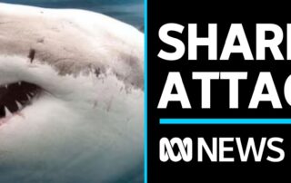 shark-attack-leaves-woman-with-serious-leg-injuries-near-beachport