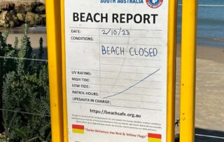 witnesses-describe-‘horrifying’-moments-after-shark-attacked-swimmer-near-sa-jetty