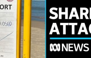 shark-bite-survivor-recovering-in-south-australian-hospital