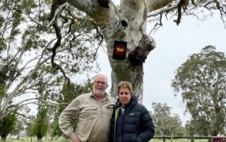 farming-couple-defiant-after-voice-to-parliament-yes-signs-stolen-from-sa-property