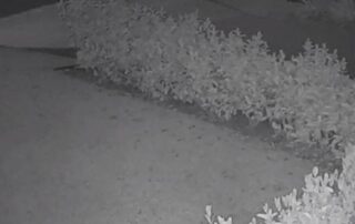 cctv-released-as-police-hunt-for-second-man-wanted-over-fatal-dubbo-stabbing