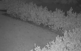 cctv-footage-of-a-man-seen-in-the-area-at-the-time-of-the-alleged-attack