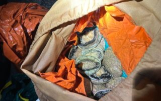 police-chopper-helps-net-alleged-abalone-poachers-at-adelaide-beach