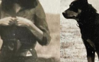 ‘i’d-never-seen-a-dog-like-him’:-nancy-and-mate-are-legends-in-the-world-of-working-kelpies