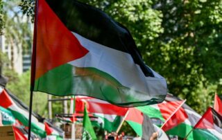 man-charged-over-‘offensive-language’-at-sydney-pro-palestinian-rally