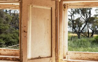 in-abandoned-farmhouses,-heather-sees-light,-life-and-beauty