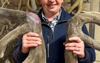 deer-farmers-hone-in-on-right-genetics-to-feed-lucrative-export-market